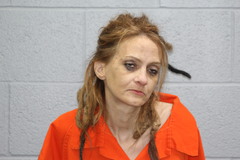 Mugshot of Gruver, Amy Nicole 