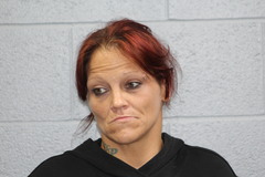 Mugshot of Hoke, Nicole Lynn 